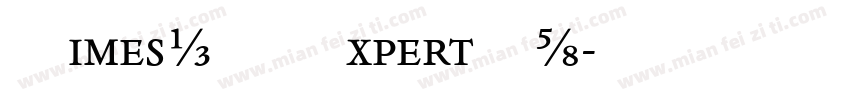 TimesNR ExpertPL字体转换